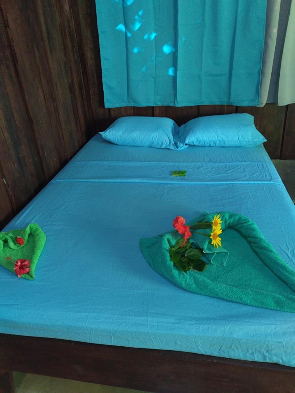 Los Paniquines Ecolodge Drake Bay Exterior photo