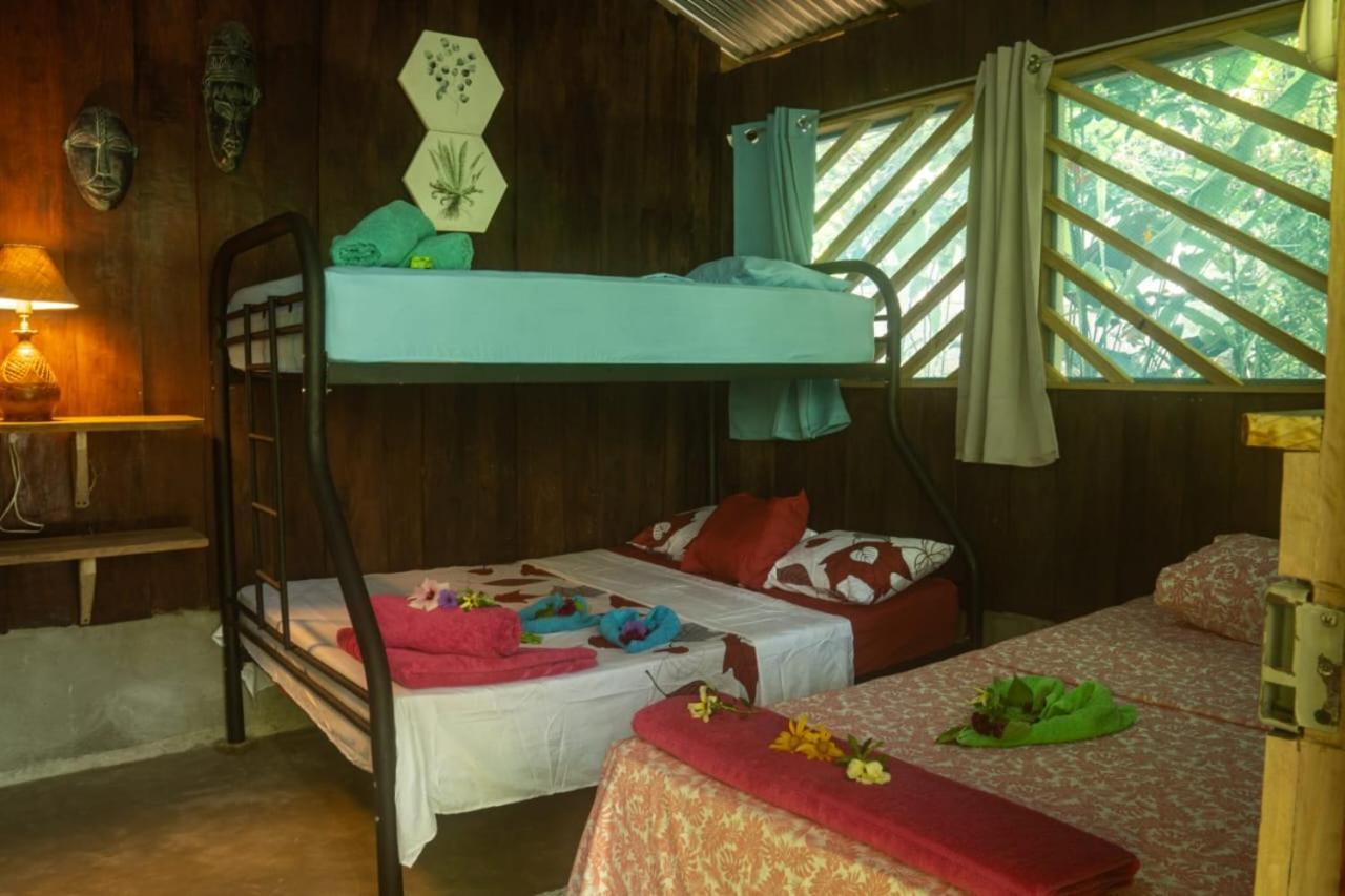 Los Paniquines Ecolodge Drake Bay Exterior photo